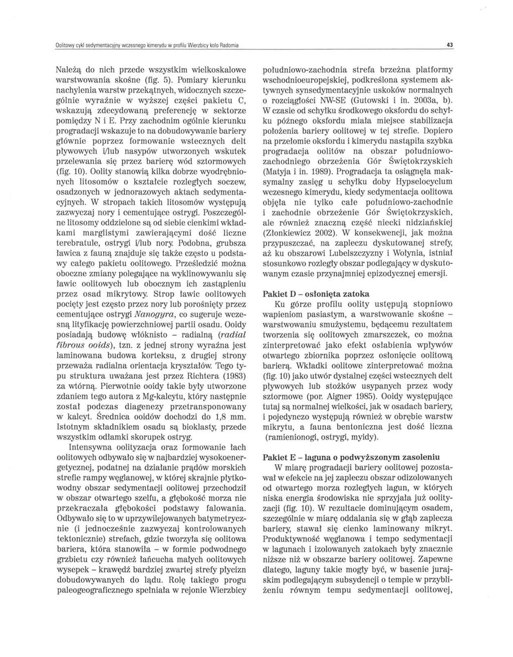 Oolitowy cykl sedymentacyjny wczesnego kimerydu w profilu Wi erzbicy kolo Radomia 43 Należą do nich przede wszystkim wielkoskalowe warstwowania skośne (fig. 5).