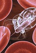 NANOTECHNOLOGIE W MEDYCYNIE NANOCZĄSTKI, NANOROBOTY, BIOMARKERY, NANOKOMPOZYTY Stosowanie nanorobotów do oczyszczania systemów cyrkulacyjnych w organizmie Dostarczanie tlenu do uszkodzonych tkanek