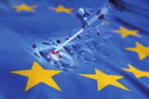 Mitutoyo: firma w Europie Silna wspólnota Od momentu rozpoczęcia działań na rynku europejskim, na początku lat 60-tych, Mitutoyo nieustannie umacnia swoją pozycję w tym tak ważnym ekonomicznie