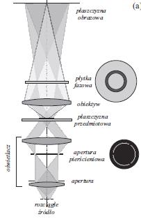Miroskop Nomarskiego (differential interference contrast, DIC): pomiar gradientu drogi optycznej w próbce. Techniki mikroskopowe Standardowa, z oświetleniem transmisyjnym lub odbiciowym.