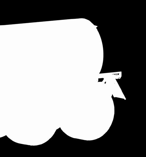 Q-BIGLINER