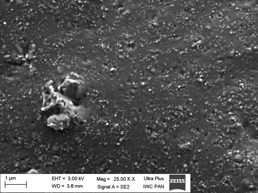 a) b) Rys 5. Zdjęcia SEM przełomów wulkanizatów przedstawiające a) aglomerat napełniacza wielkości około 1-2 µm, b) dobry stopień dyspersji. Transmisyjna Mikroskopia Elektronowa TEM (ang.