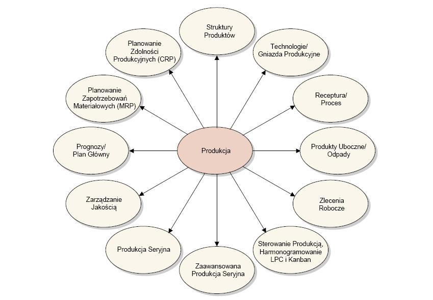 WSTĘP Moduły Produkcji w QAD Enterprise Applications obsługują wewnętrzny popyt i podaż wydawanie materiałów z magazynu do produkcji lub przyjmowanie wyrobów gotowych z produkcji do magazynu.