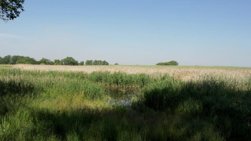 ZMIANY KLIMATYCZNE