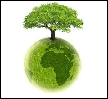 Organizacje ekologiczne Organizacja ekologiczna - organizacja społeczna, której głównym celem jest ochrona środowiska.