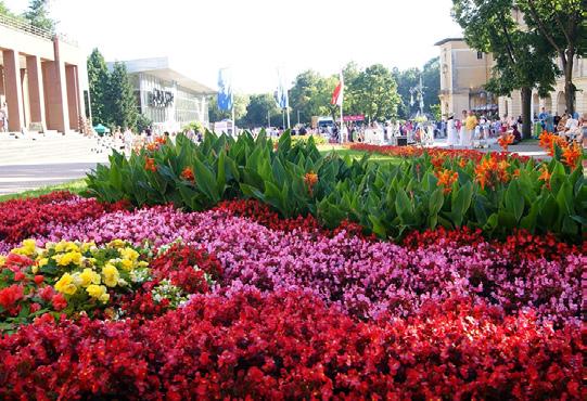 Krynica-Zdrój daje