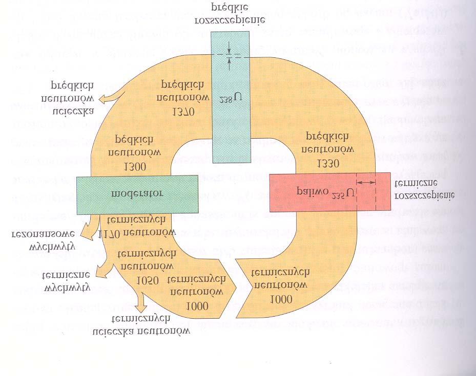 ε P ut η