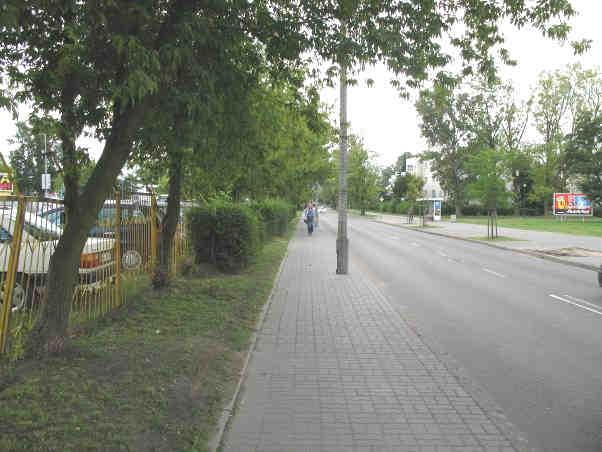 7m z 1 pasem ruchu, w kaŝdym kierunku. Po północnej stronie istniejącej jezdni: - na odcinku do ulicy Przasnyskiej występuje wąski pas zieleni z rzędem drzew i chodnik (fot.