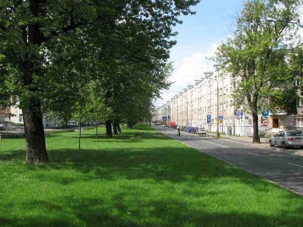 Kochowskiego a Jaśkiewicza w pasie usytuowane są parkingi, pomiędzy ul. Jaśkiewicza a ul. Popiełuszki występuje pas zieleni z rzędem drzew oraz zlokalizowany jest pomnik pamięci (fot. 12). Na ul.