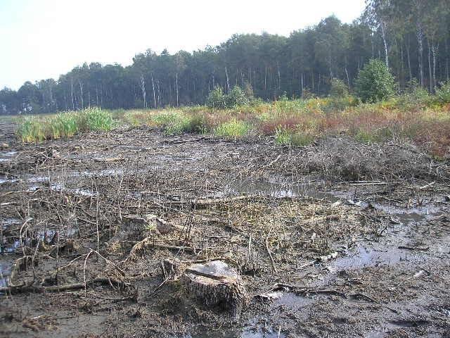 Przykład trwałego zawodnienia w