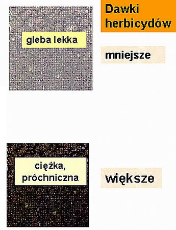 Zniszczenie szar