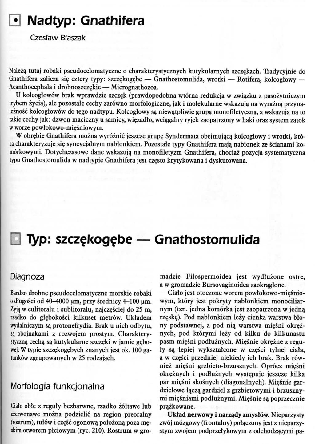 IMadtyp: Gnathifera Czestaw Btaszak Nalezq tutaj robaki pseudocelomatyczne o charakterystycznych kutykularnych szcz^kach. Tradycyjnie do Gnathifera zalicza si?