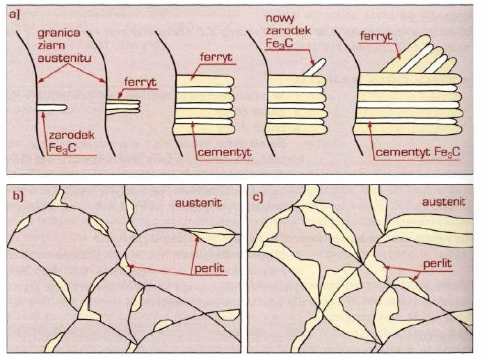 Mechanizm przemiany austenitu w perlit przy powolnym chłodzeniu (studzeniu): po przekroczeniu temperatury Ar 1 (temperatura A 1 przy chłodzeniu) na granicach ziaren austenitu powstają zarodki