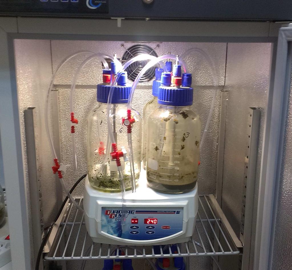 Rys.1. Bioreaktory do testu BMP Fig.1. Bioreactors to BMP test Potencjał biogazowy określono dla różnego procentowego udziału pomiotu kurzego i ko-substratów.