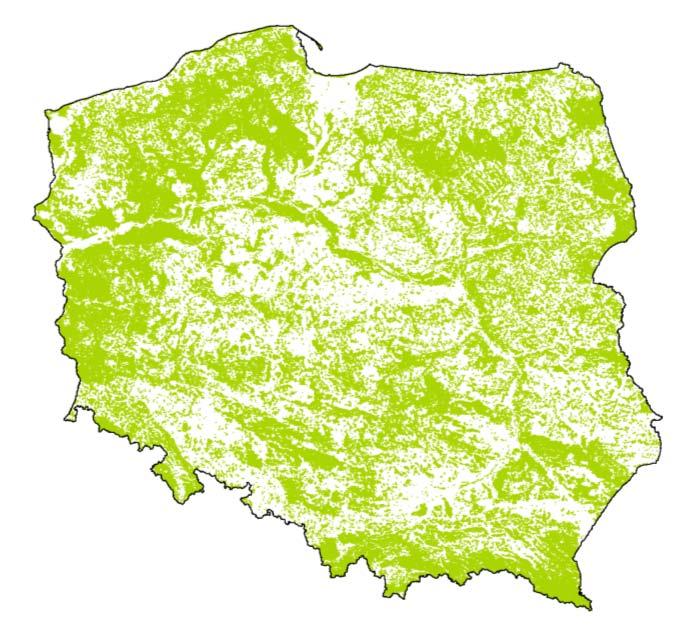 Dostępne zasoby drzewne w krajach Europy źródło: DGLP 2012 Forests in Poland