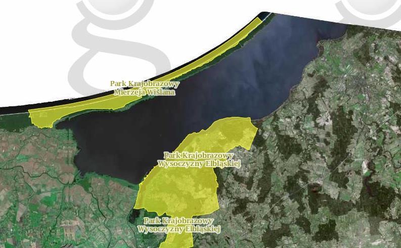 Rysunek 13. Lokalizacja Parku Krajobrazowego Mierzeja Wiślana. źródło: geoserwis.gov.pl Rezerwaty 13 Lasy na Mierzei zajmują ogromną część jej powierzchni.