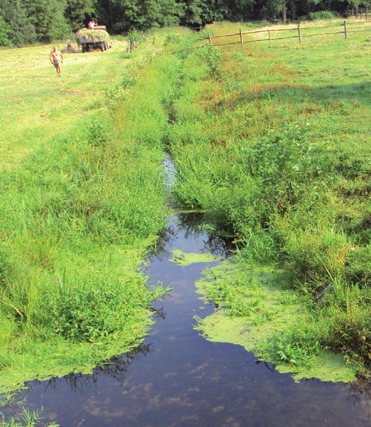 poprzez tzw. przelewy burzowe, dlatego niezbędny jest szczelny system odprowadzania wód opadowych.