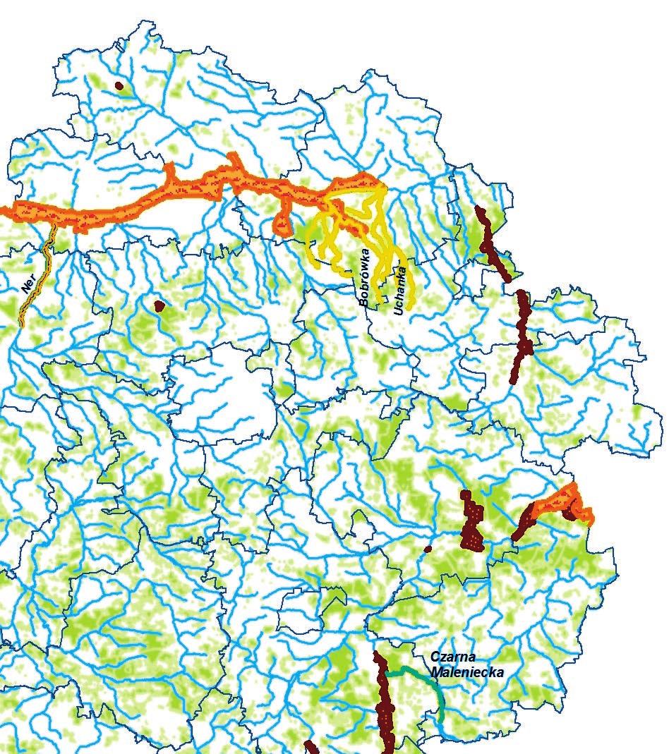 w 5 JCW z obszaru Natura 2000 (Czarna Maleniecka od Barbarki do ujścia, Niniwka, Warta od żegliny do wpływu do zbiornika Jeziorsko,
