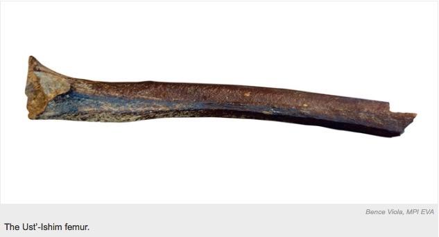 Genom z Ust -Ishim Syberia, ~ 45 000 lat Najstarszy