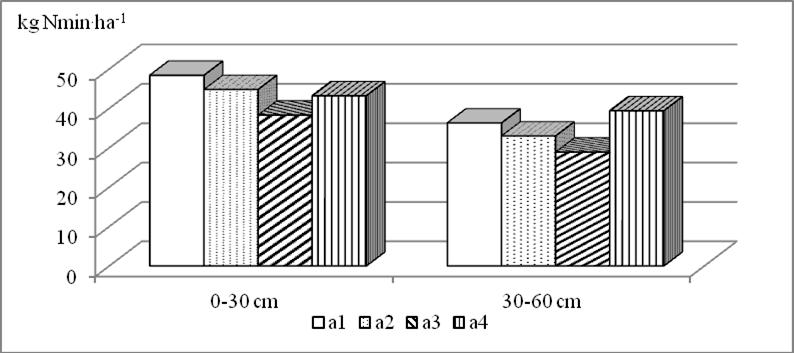 głębokości profilu glebowego Fig. 1.