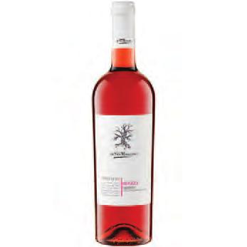 Wino domu Cantine San Marzano Historia Producenta: Historia domu winiarskiego Cantine San Marzano zaczyna się w 1962 roku, wtedy to 19 plantatorów winorośli, których rodziny przez pokolenia