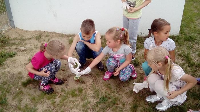 2. Akcja Sprzątanie Świata porządkowanie ogrodu przedszkolnego i najbliższej okolicy.