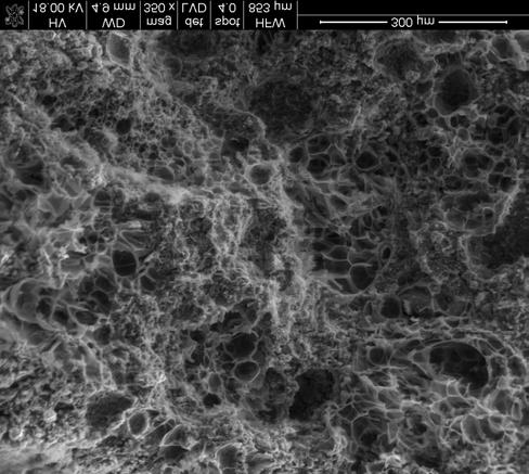LIGHTWEIGHT MORTARS WITH EXPANDED PERLITE MODIFIED BY ADMIXTURES a) b) Photo 2. (a) Microstructure of cement perlite mortar 1/7 with 0.03% AEA admixture.