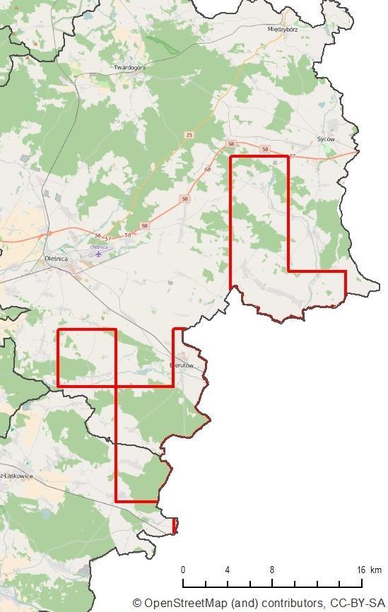 Ocena 2015 Wojewódzki Inspektorat Ochrony