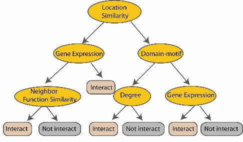 ...... N examples Random Forest