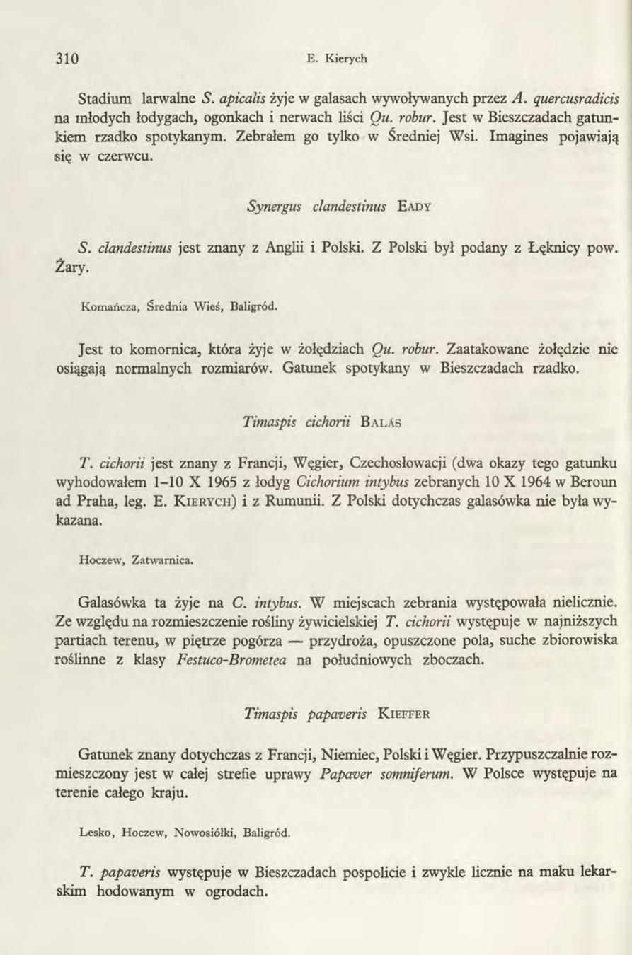 310 E. Kierych Stadium larwalne S. apicalis żyje w galasach wywoływanych przez A. quercusradicis na młodych łodygach, ogonkach i nerwach liści Ou. robur.
