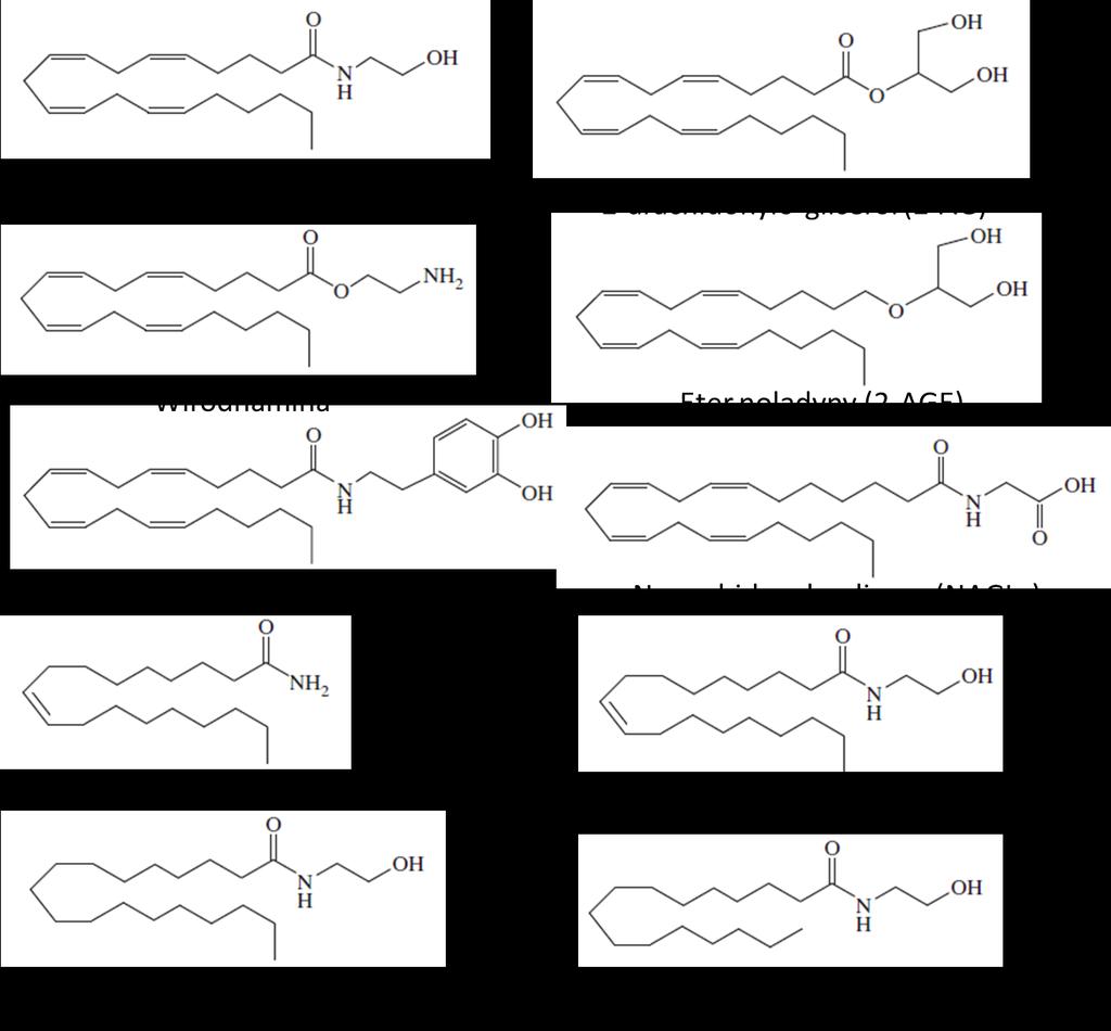 Biernacki M., Skrzydlewska E. - Metabolizm endokannabinoidów Ryc. 1. Endokannabinoidy fosfatydyloetanoloaminy z innymi niż arachidonowa grupami N-acylowymi (NAPE s) [115].