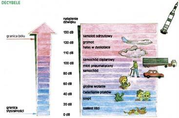 Decbele wokół nas Jak odcztwać głośność sprzętów? 10, 10 10 78 61 1.7 10 10 10 Źródło: http://www.konkurs ekologiczn.