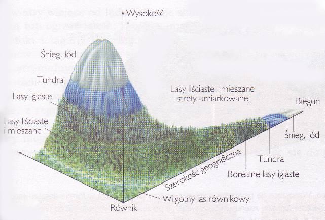 Wysokość nad poziomem morza