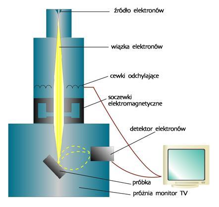 Elementy budowy: - Działo elektronowe - Cewki odchylające - Detektor elektronów - Monitor - Pompa próżniowa Źródła: http://encyklopedia.