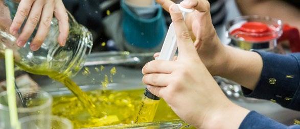 ZAJĘCIA EDUKACYJNE ZAJĘCIA EDUKACYJNE 12 13 Nowohucki Uniwersytet Dzieci informacje i zapisy: tel. 12 644 02 66 wew.