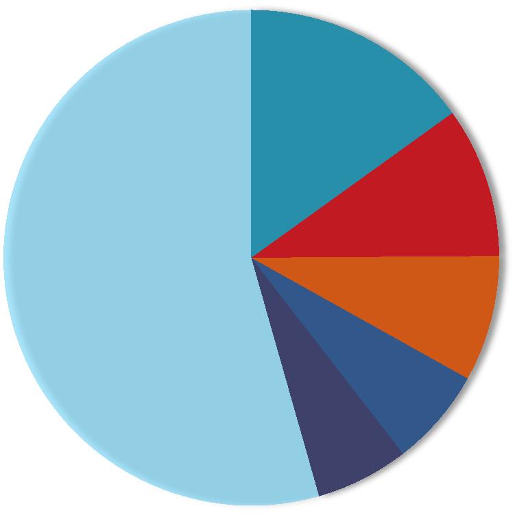 Akcjonariat Akcjonariat ( stan na dzień 05.06.2013r) Wykaz akcjonariuszy posiadających powyżej 5% udziałów w kapitale zakładowym ELEKTROTIM S.A. 0.15% 0.10% 0.54% 0.