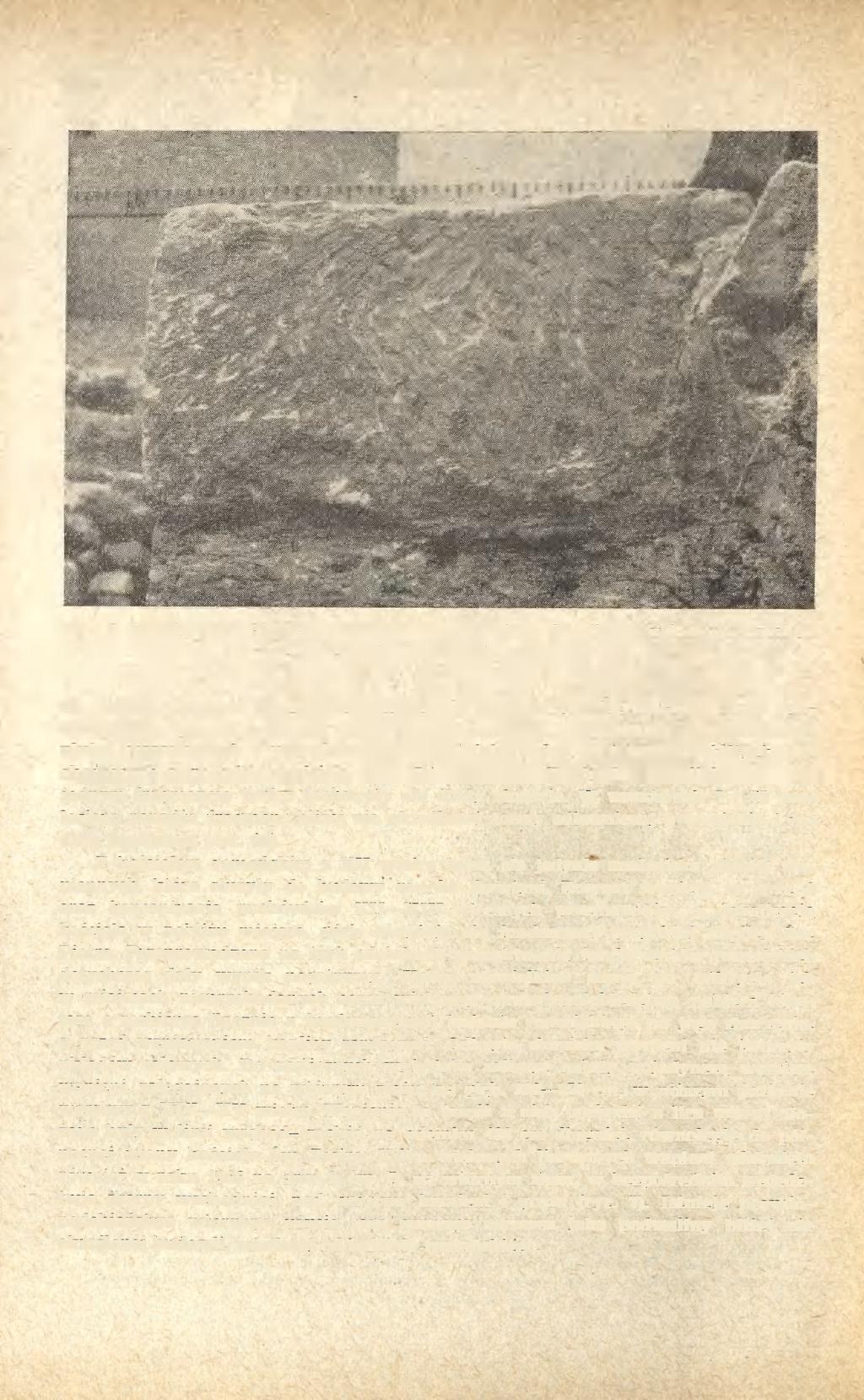 190 JADWIGA RAUHUTOWA Ryc. 7. Czersk, pov/. Piaseczno. Stanowisko 1 Zamek". Cios wapienny z kościoła romańskiego (wykop 2) ok. 430 cm. Grubość fundamentów nawy ok. 110 135 cm.