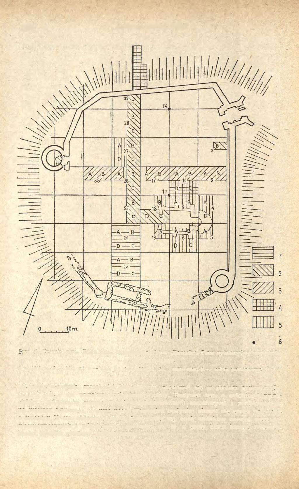 182 JADWIGA RAUHUTOWA Rye. II. Czersk, pow. Piaseczno. Stanowisko 1 Zamek''.