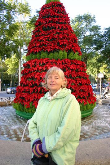 Aerobiologia (2011) 27:91 95 DOI 10.1007/s10453-010-9180-0 EDITORIAL NOTE In memoriam: Alicja Stach (1951 2009): a dedicated aerobiologist D. Stępalska K. Szczepanek D.