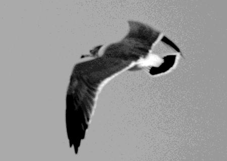 Maximální měřítko zoomu závisí na zvolené velikosti snímku, a to následovně: Velikost snímku Smart zoom Maximální měřítko zoomu 3M 1,1 1M 1,8 VGA (E-Mail) 3,6 Funkci smart zoom nelze používat s