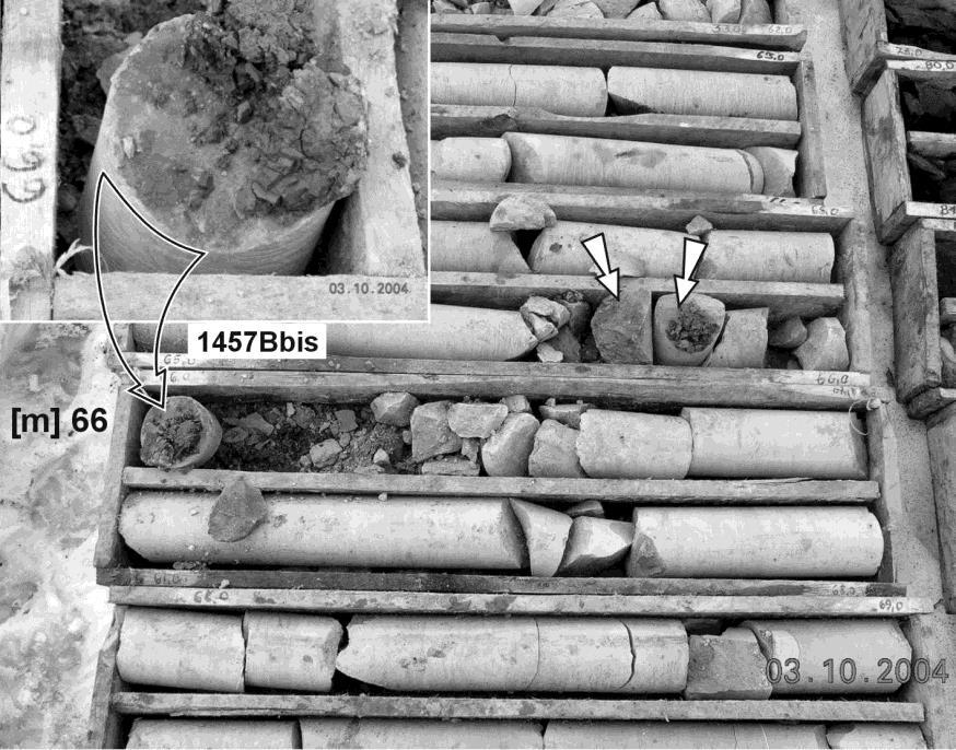 WARSZTATY 2004 z cyklu Zagrożenia naturalne w górnictwie Rys. 2.3. Cienkie wkładki iłów w gruboławicowych mułowcach kredowych (strzałki), stanowiące potencjalne powierzchnie poślizgu; otwór 1457B bis.