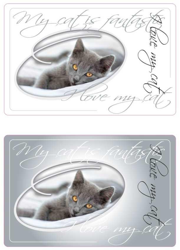 6 00-005065-EL 3166780050653 Miska z dozownikiem 1,5 L "I LOVE MY