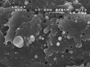 Struktura SEM Fotografie struktur prze³omów kruchych, mieszanin PBT/LDPE, wykonano przy pomocy skaningowego mikroskopu elektronowego (SEM), firmy Jeol typ JSM-6100.