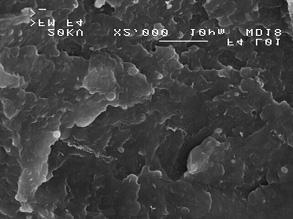 SEM PBT40% /LDPE 60% /AC15%: a) x300, b) x2000 tybilizatora; wydzielenia PBT s¹ znacznie mniejsze (poni ej 1 µm) i struktura jest bardziej jednorodna.