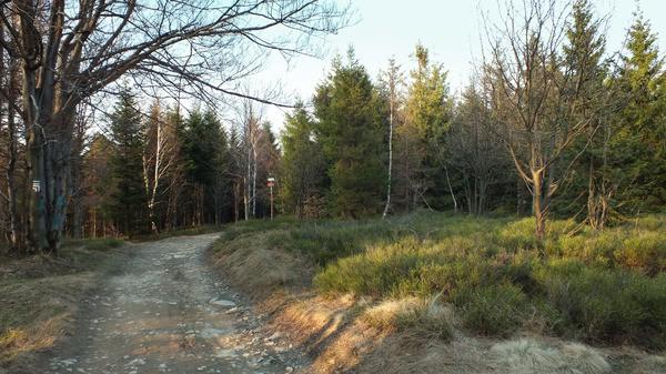 Jeszcze kilka lat temu (do około 2009 roku) rejon przełęczy oferował ładne widoki po lewej na Beskid Śląski, po prawej na Beskid Mały, stanowiąc dobre miejsce do