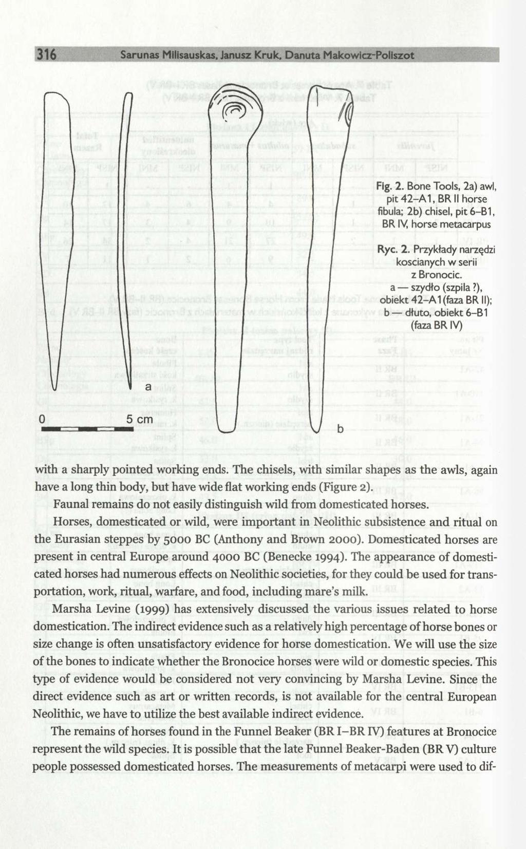 316 Sarunas Milisauskas, Janusz Kruk. Danuta Makowicz-Poliszot Fig. 2. Bone Tools, 2a) awl, pit42-a1, BRII horse fibula; 2b) chisel, pit 6-B1, BR IV, horse metacarpus Ryc. 2. Przykłady narzędzi kościanych w serii z Bronocic.
