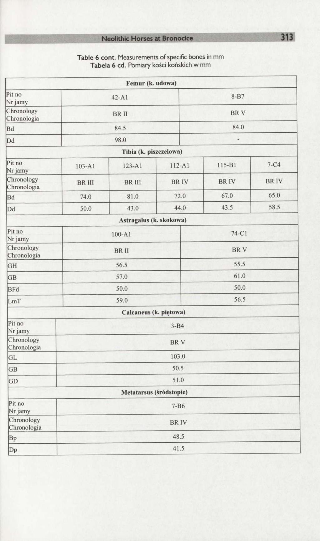 Neolithic Horses at Bronocice 313 Table 6 cont. Measurements of specific bones in mm Tabela 6 cd. Pomiary kości końskich w mm Femur (k. udowa) 42-Al 8-B7 BR II BRV Bd 84.5 84.0 Dd 98.0 - Tibia (k.