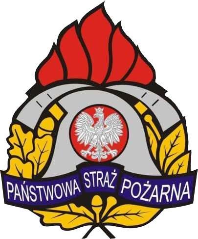 Załącznik do Uchwały Nr XXV/18/12 Rady Powiatu w Staszowie z dnia 9 maja 2012 roku KOMENDA POWIATOWA PAŃSTWOWEJ STRAŻY POŻARNEJ W STASZOWIE INFORMACJA Z REALIZACJI ZADAŃ ORAZ STANU