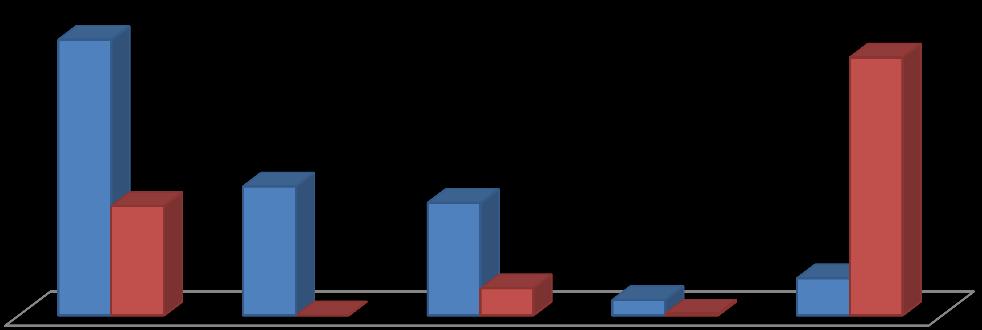 Koncentracja sprzedaży według najbardziej znaczących klientów za 1 kwartał 2017 roku i 1 kwartał