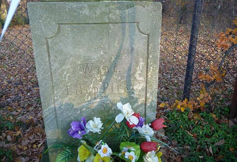 przedpolu dworu. Tu jej lico. (14.11.2012) Fot.